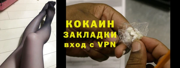кокс Алексин