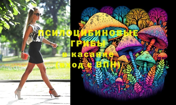 кокс Алексин